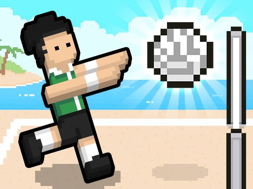 Play Volley Random Game