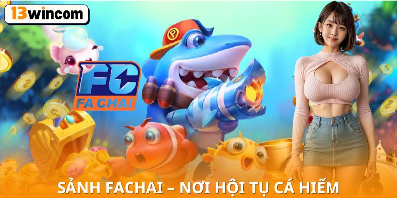 FACHAI – Nơi hội tụ cá hiếm, cơ hội săn thưởng cực khủng