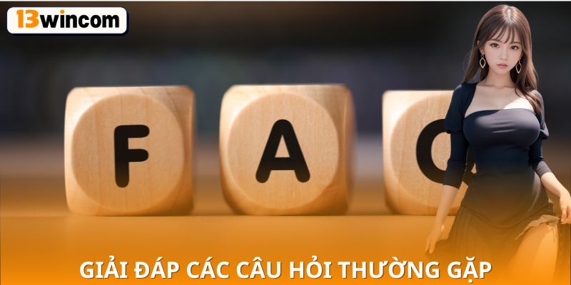 Giải đáp các câu hỏi thường gặp