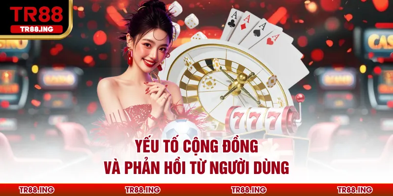 Yếu Tố Cộng Đồng Và Phản Hồi Từ Người Dùng